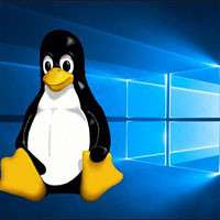 linux-dang-troi-day-manh-me-microsoft-co-can-lo-lang-4380