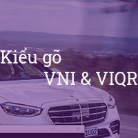 kieu-go-vni-va-viqr-1225