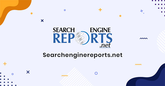 Search Engine Reports
