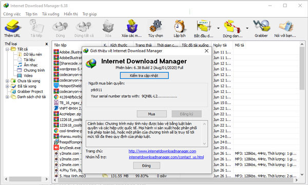 Internet Download Manager là một công cụ hữu ích để tăng tốc tải xuống