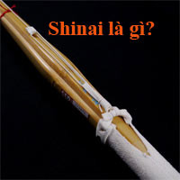 shinai-la-gi-92870