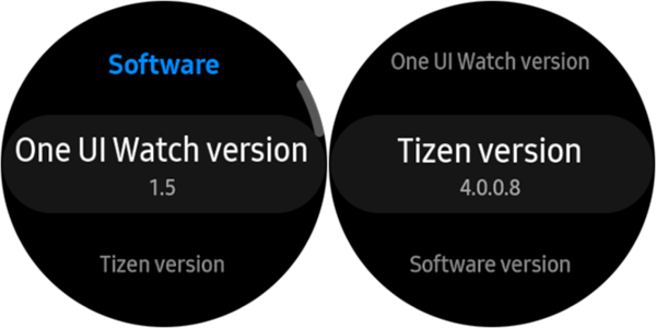 Hai thông tin về phiên bản Tizen và One UI